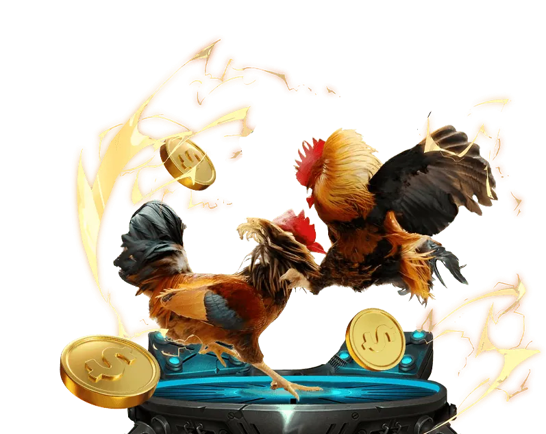 Sới gà F8BET trực tuyến